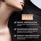 Ginger Hair Growth Ointment, Moisturize And Thicken Hair, Repair Damaged Hair And Prevent Hair Loss Hair Care Cream