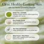 Fresh Green Rice Mochi Cleanser, Gentle Daily Cleanser for Acne-Prone Skin, 4.23oz