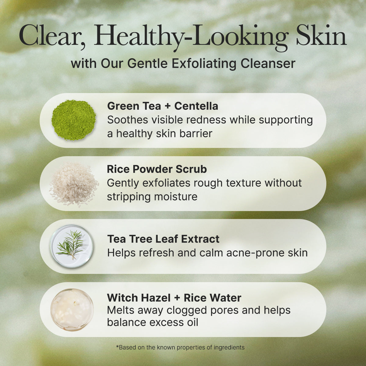 Fresh Green Rice Mochi Cleanser, Gentle Daily Cleanser for Acne-Prone Skin, 4.23oz