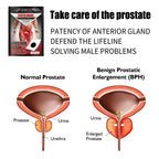 Forefront Plaster Body Health Belly Button For Men Lock Yang Strong Kidney Care