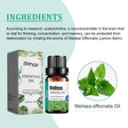 Melissa Officinalis Essential Oil, Moisturizing Massage Skin Body Care Improve Memory Melissa Officinalis Essence
