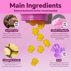 Feminine Probiotics Gummies for Women