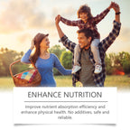 Gastrointestinal Digestive Supplement Drops, Gastrointestinal Digestive Supplement Body Treatment
