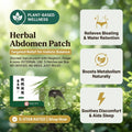 A pack of Aurenza Shop Herbal Belly Comfort Patches for bloat relief and a smoother-looking waist, shown with patches on a neutral background.