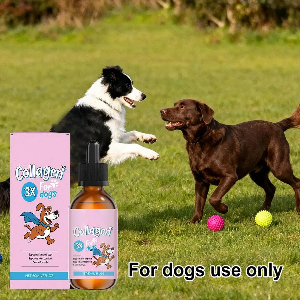 Aureza Shop 1/3/5-piece dog collagen drops for coat and skin care, featuring a gentle formula dietary supplement for dogs.