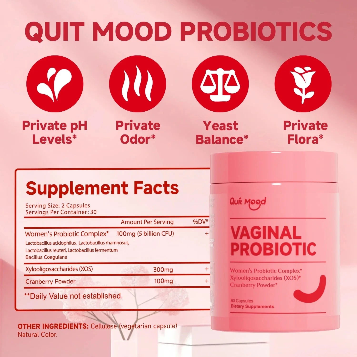 Two bottles of Quitmood Queen's female-focused daily V-probiotics by Aurenza Shop for pH balance, odor control, and yeast support.