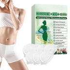 Moringa and Berberine 10-in-1 Advanced Nano Microneedle Patch by Aurenza Shop, showing the patch with detailed micro-needles and packaging.