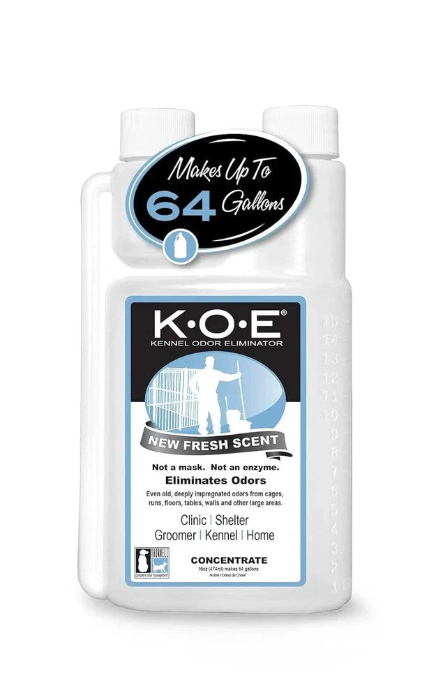 Aurenza Odorcide K.O.E Kennel Odor Eliminator Concentrate 16 oz bottle, designed to eliminate pet kennel odors.