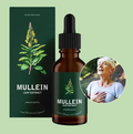 Zileva Mullein and Chlorophyll supplement in a clear glass bottle with green leaves and mullein flowers, natural herbal health product