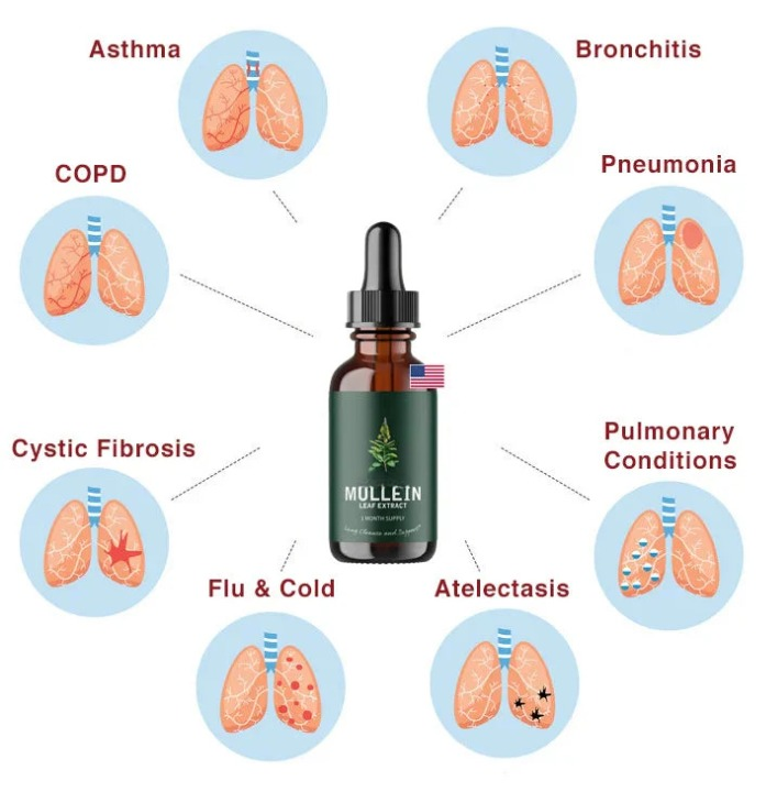 Zileva Mullein and Chlorophyll supplement bottle from Aurenza Shop, featuring green and white label with product details.