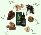 Aurenza Shop Zileva Mullein and Chlorophyll supplement bottle with label and green leaves in the background.