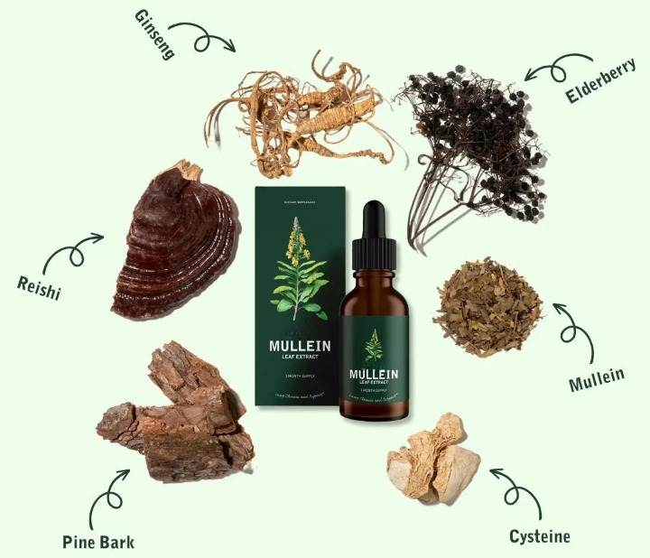 Aurenza Shop Zileva Mullein and Chlorophyll supplement bottle with label and green leaves in the background.