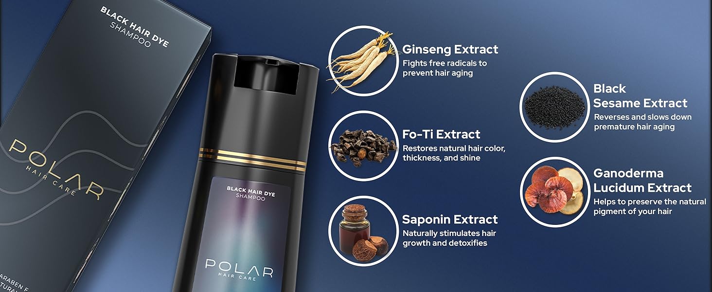 Aurenza Shop Polar Hair Care Instant Black Dye Shampoo 200ml bottle, showing the product label and sleek black packaging.