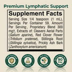 Lymphatic Drainage Drops Supplement, Relieve Bloating, immunity