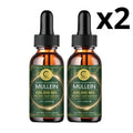 Two bottles of Aurenza Shop Mullein Drops for lung cleanse and immune support, showing the product bottles and label.