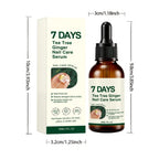 Tea Tree Ginger Nail Treatment Oil Thickened Nails Nail Repair Serum Nail Care